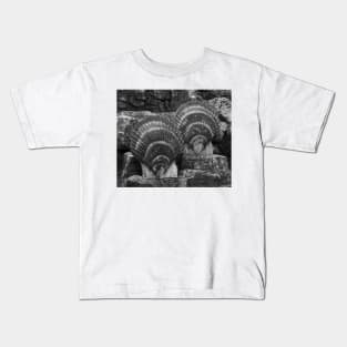 Shells Sculpture. Vladivostok Oceanarium Kids T-Shirt